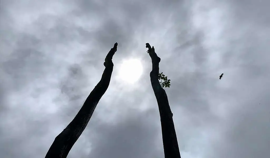 GSG-Interactive-G2-3