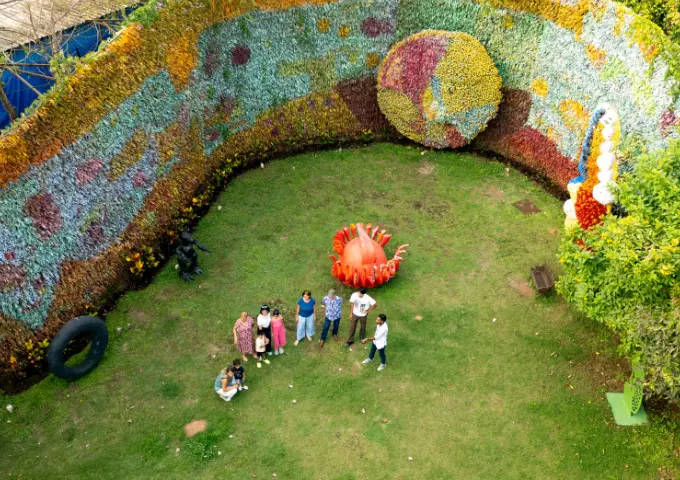 MOG-Walk-G1-Mobile-6