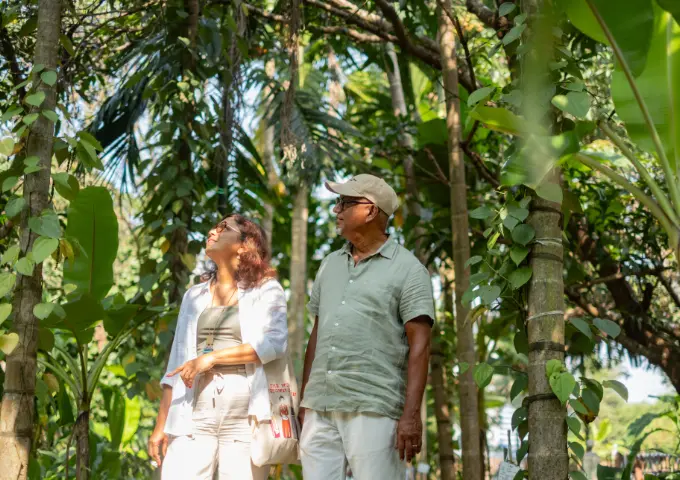 Mythical-Wonders-of-Chorao-Island-G1-mobile-4