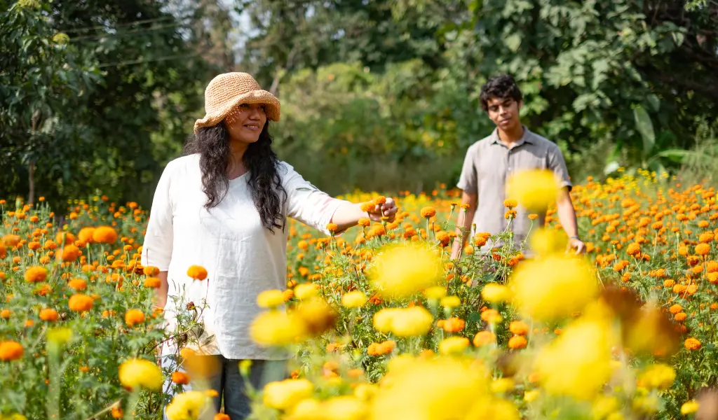 Mythical-Wonders-of-Chorao-Island-G2-5