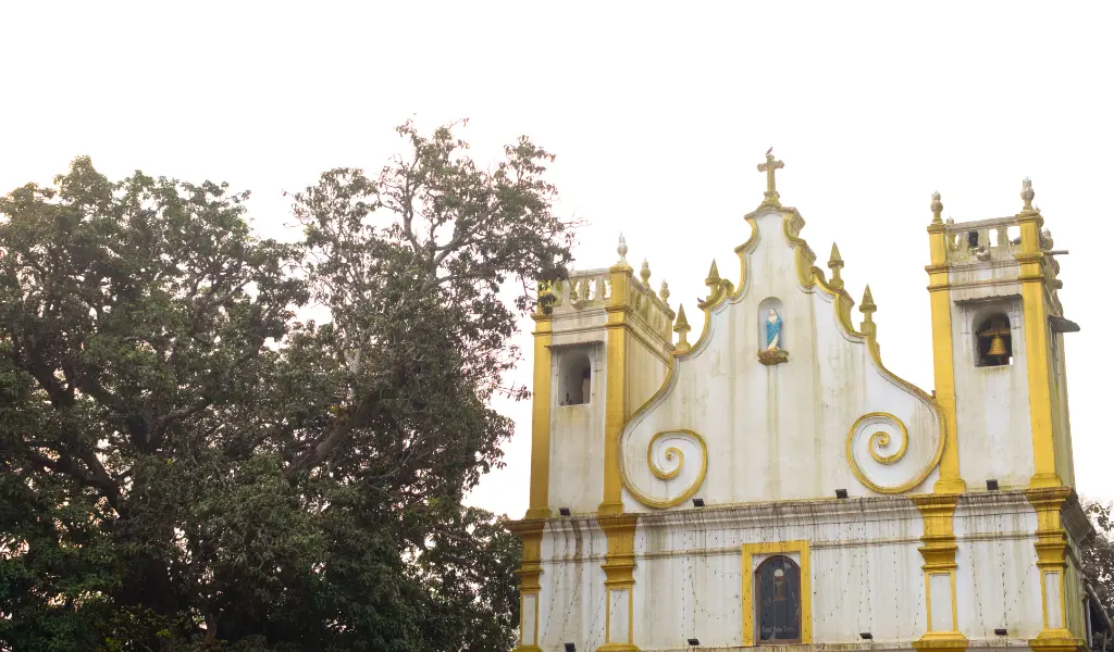 Mythical-Wonders-of-Chorao-Island-G2-7