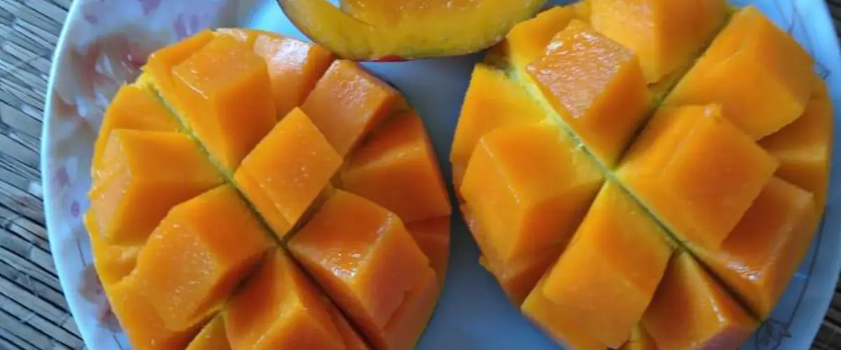 Two halves of a ripe mango cut into cubed pieces on a plate, ready to eat, with the mango flesh bright orange and arranged in a grid pattern on both halves.
