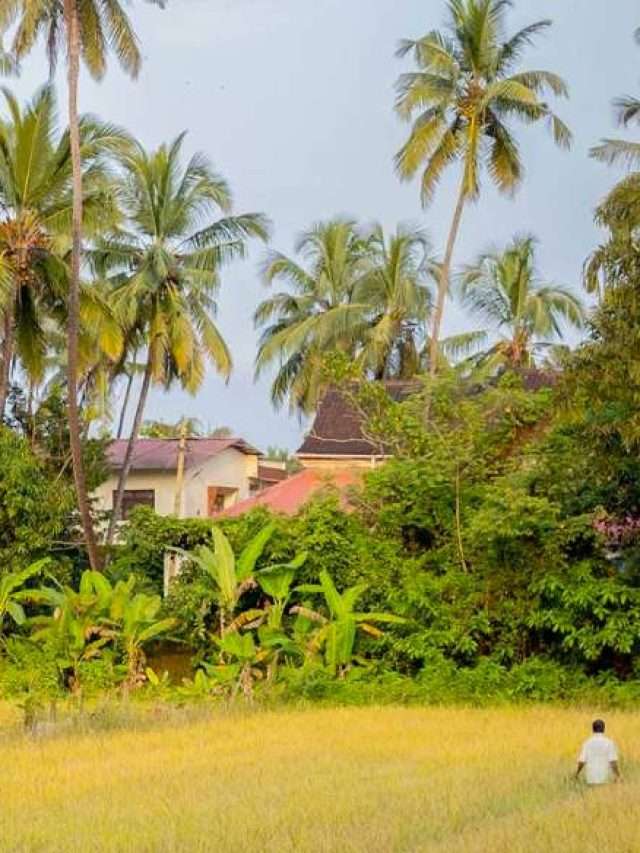 Looking to explore Goa in a different way?