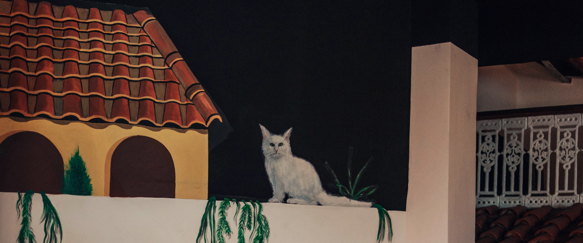 fado-event-desktop-4