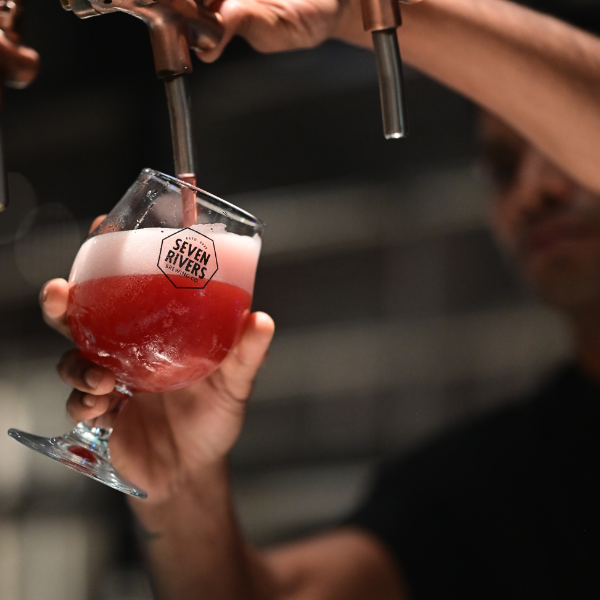 seven-river-mobile-3