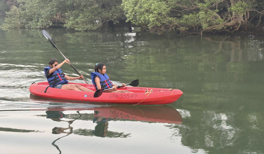 mangrove-kayaking-in-goa-G2-2