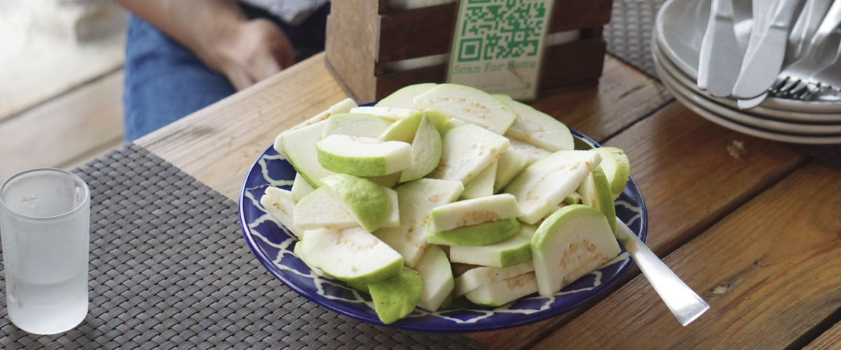 sao-joao-community-experience-1