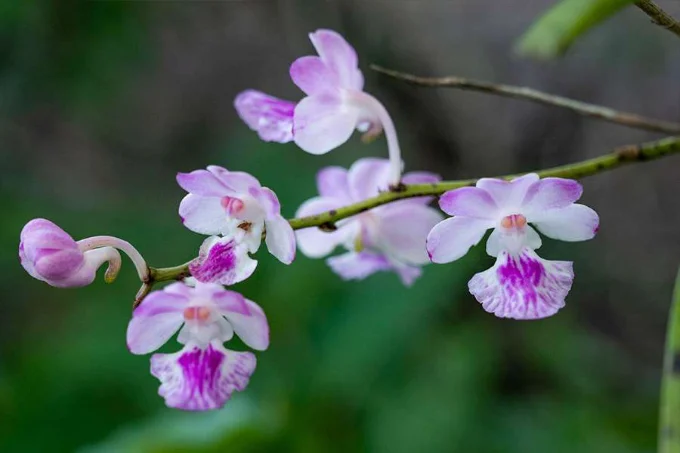 Socorro-Plateau-Nature-Trail-Make-It-Happen
