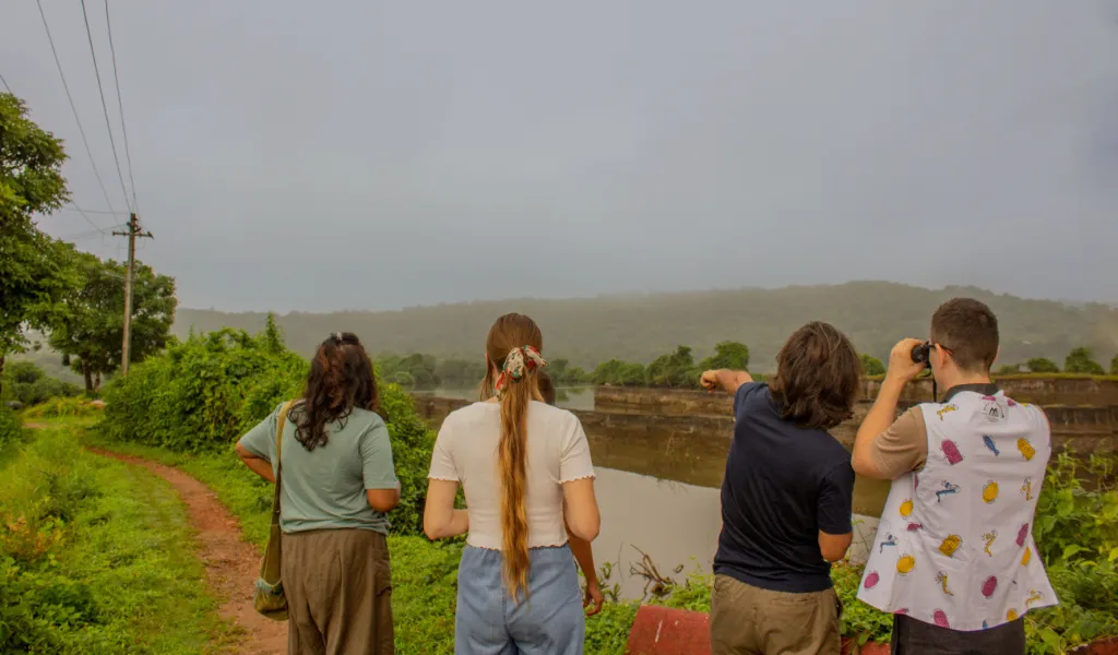 Chorão-Nature-Exploration-gallery-1