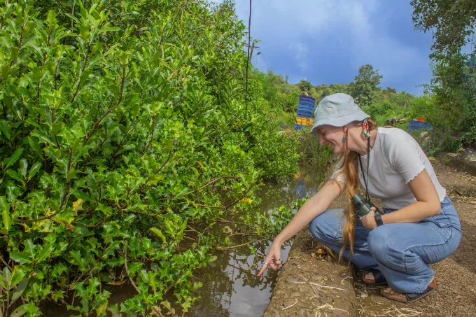 Chorão-Nature-Exploration-mobile-slide-7