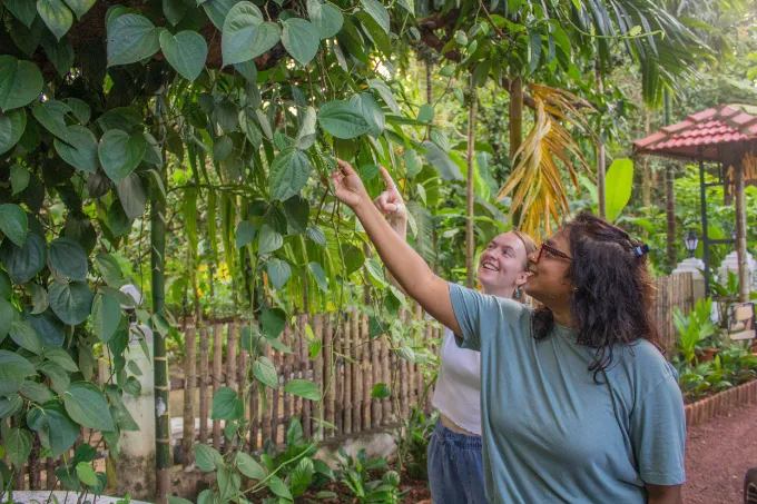 Chorão-Nature-Exploration-mobile-slide-8