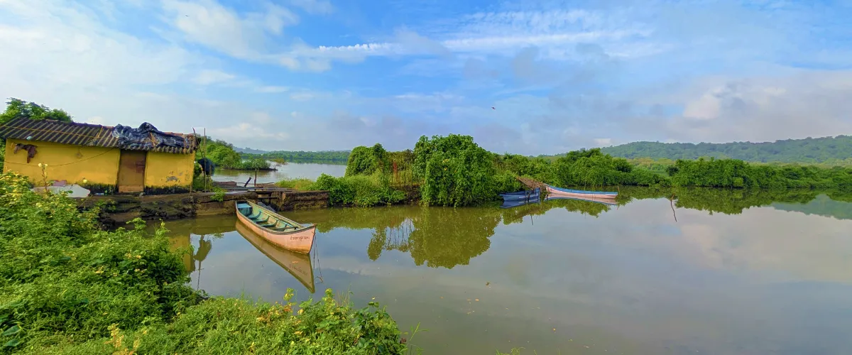 Chorão-Nature-Exploration-slide-3