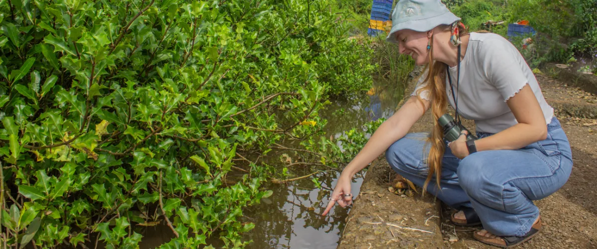 Chorão-Nature-Exploration-slide-7