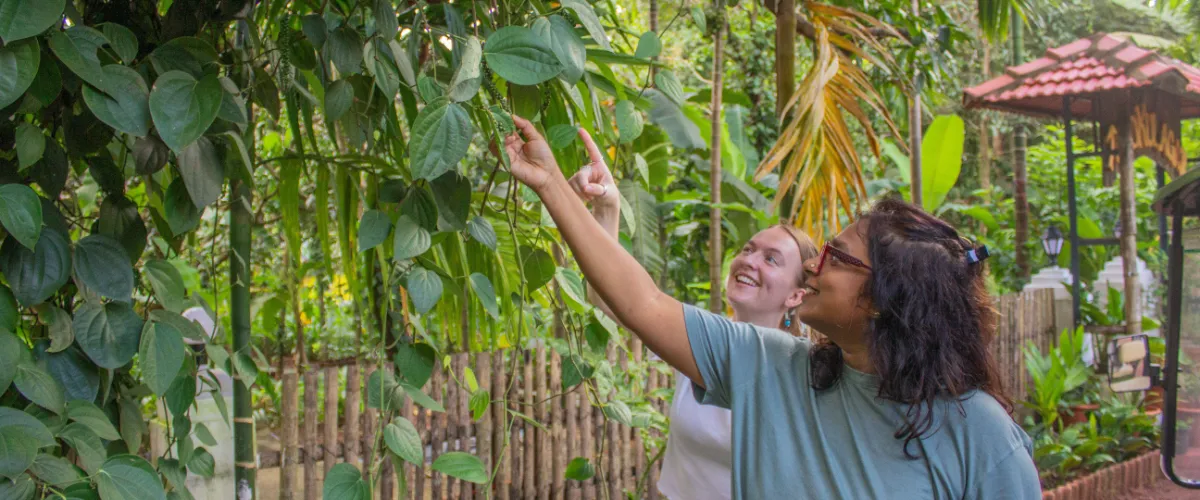 Chorão-Nature-Exploration-slide-8