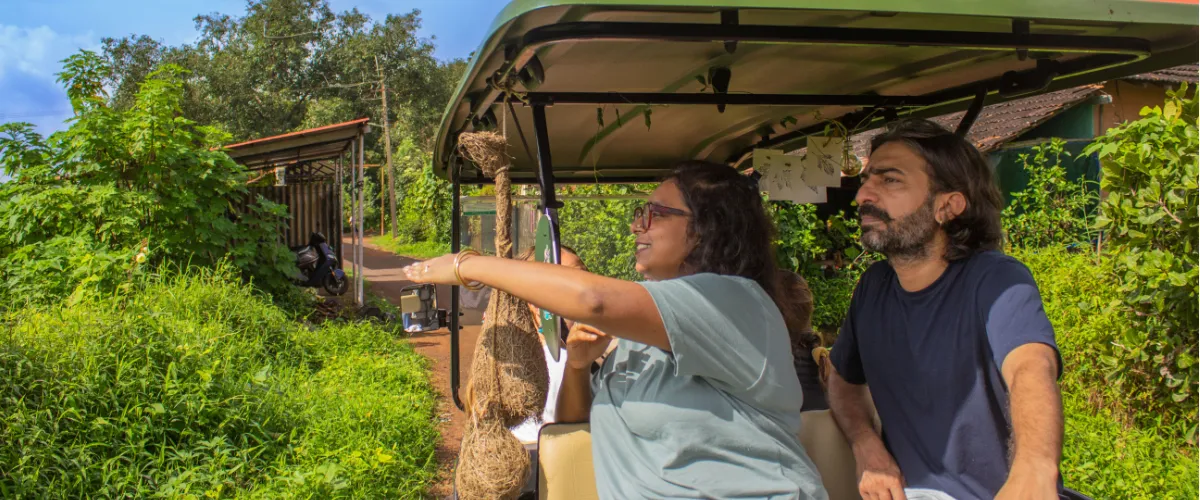 Chorão-Nature-Exploration-with-Electric-Buggy-3