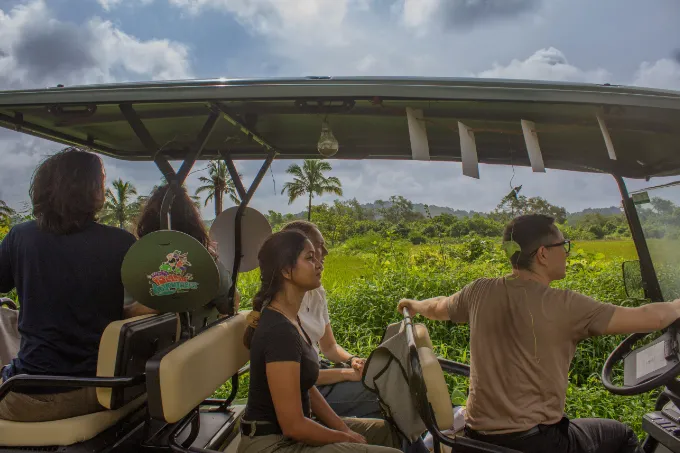Chorão-Nature-Exploration-with-Electric-Buggy-mobile-2