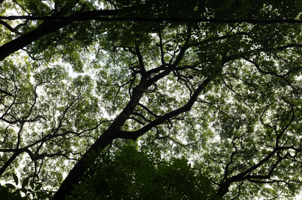 Richard’s-Park-Gallery-1