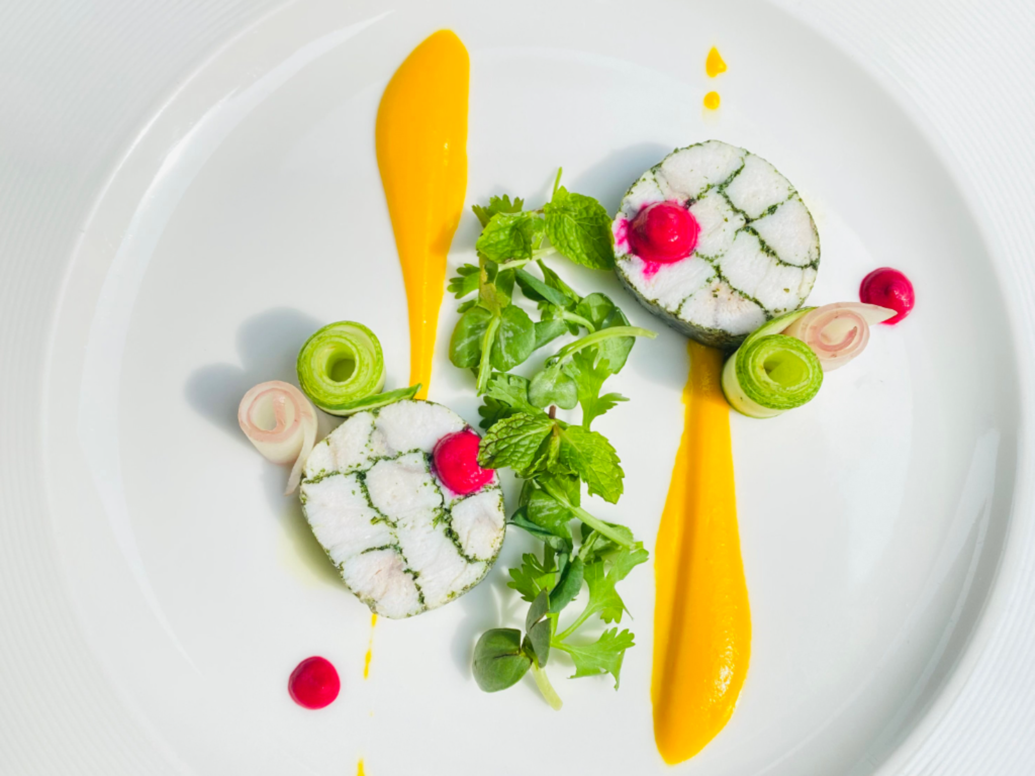 Plated gourmet dish with two herb-crusted round portions, yellow sauce streaks, greens, and pink garnish on a white plate,”,