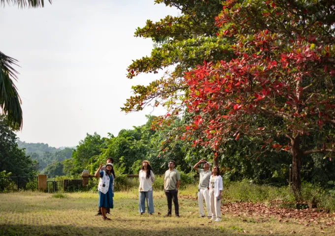 Five casually dressed people standing in a sunny park-like field, shading their eyes as they look toward the distance beneath a tree with red leaves.
