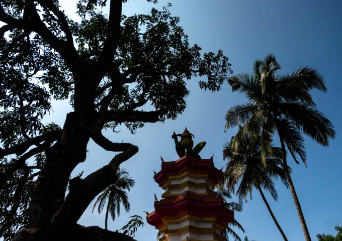 Pagoda-style tower with red and white tiers framed by a large tree and tall palm trees against a bright blue sky